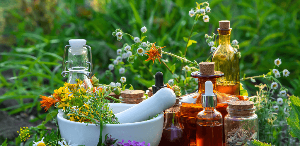 Plantas medicinales que sí funcionan — y cómo usarlas sin riesgo