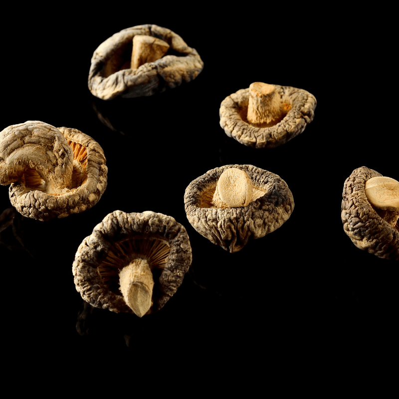 Hongo Shiitake Deshidratado